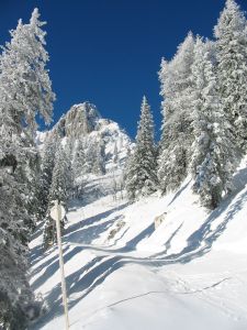 Nature in Slovenia